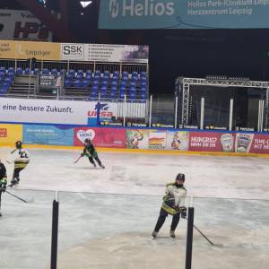 2026-02-17_u15_2_original