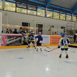 2024-10-24_erstes_eistraining_9